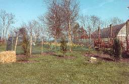 The view in 1981 The view in 1981