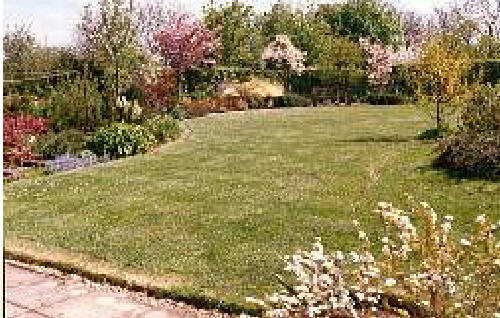 Spring 1988