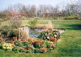 View from the pond in 1987